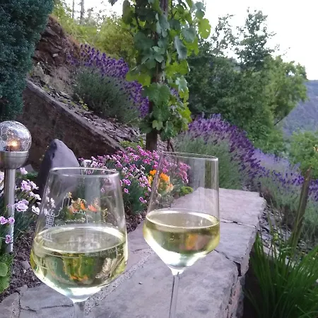 Lavendel コッヘム