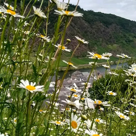 Апартаменты Lavendel *