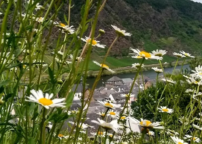 アパート Lavendel *